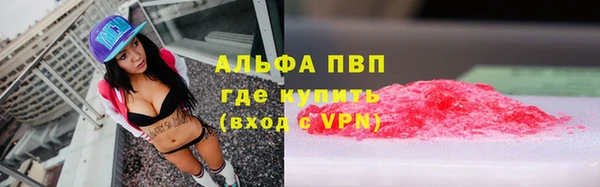 spice Верея