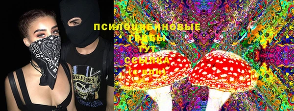 spice Верея