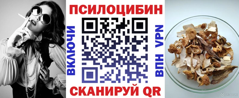 Псилоцибиновые грибы Psilocybe  Купить закладки  Гагарин 