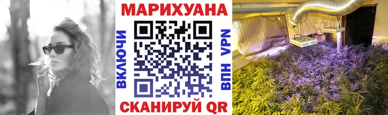 Бошки Шишки гибрид Гагарин
